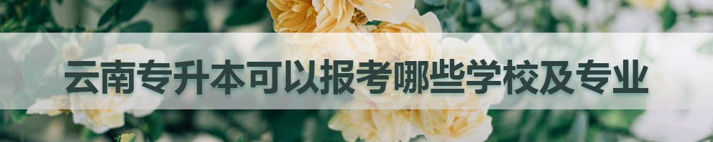 云南專升本可以報考哪些學校及專業(yè)