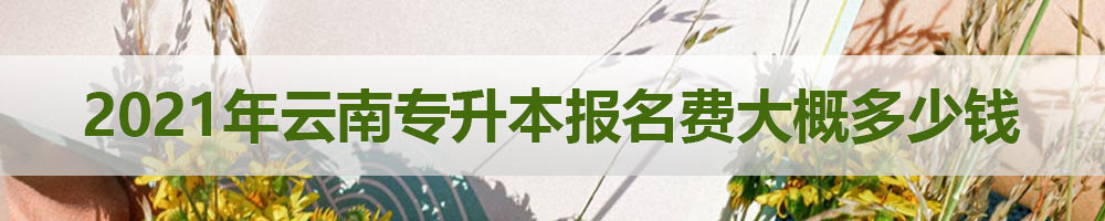 2021年云南專升本報(bào)名費(fèi)大概多少錢
