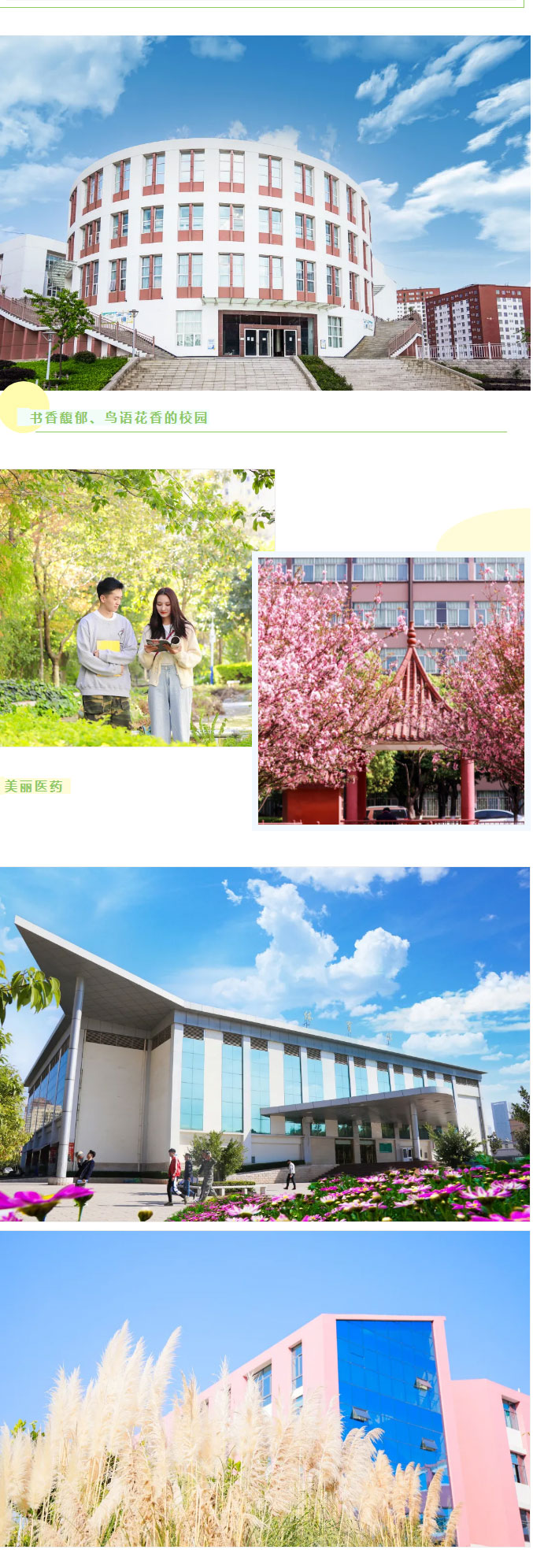 云南醫(yī)藥健康職業(yè)學(xué)院2021年招生簡(jiǎn)章