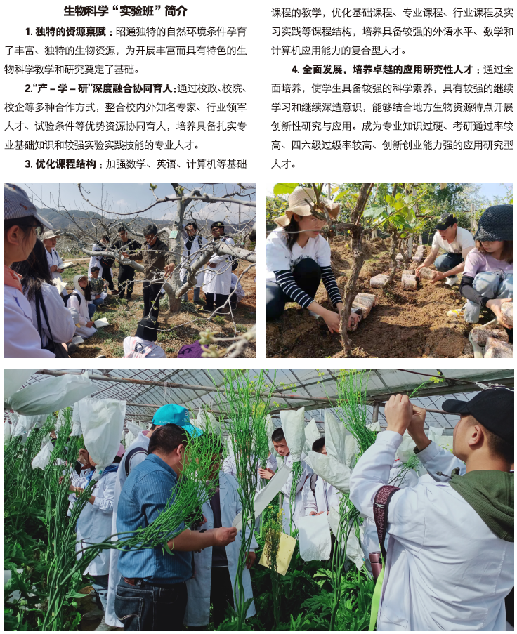 昭通學(xué)院2021年招生計(jì)劃