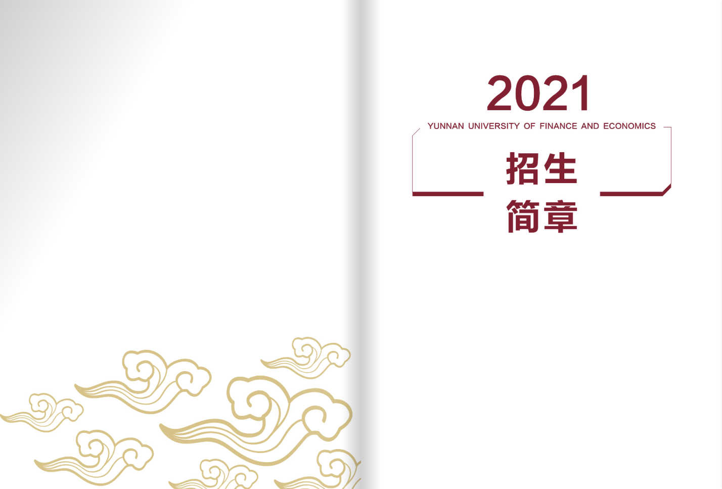 云南財(cái)經(jīng)大學(xué)2021年招生簡(jiǎn)章