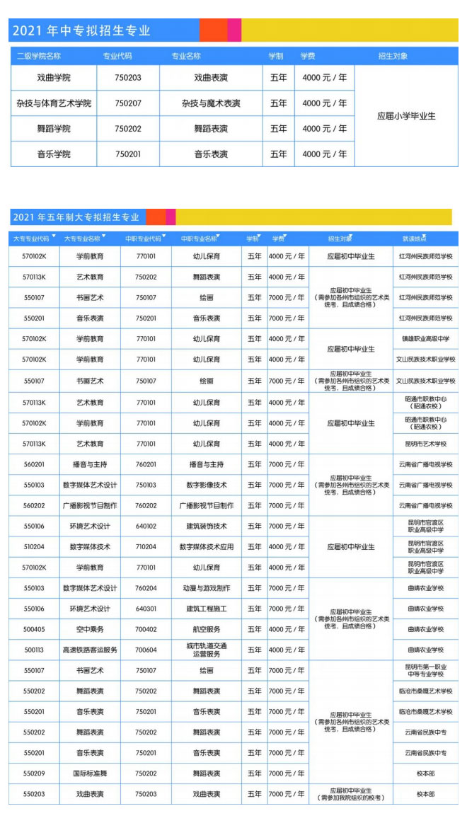 云南文化藝術(shù)職業(yè)學(xué)院2021年招生簡章