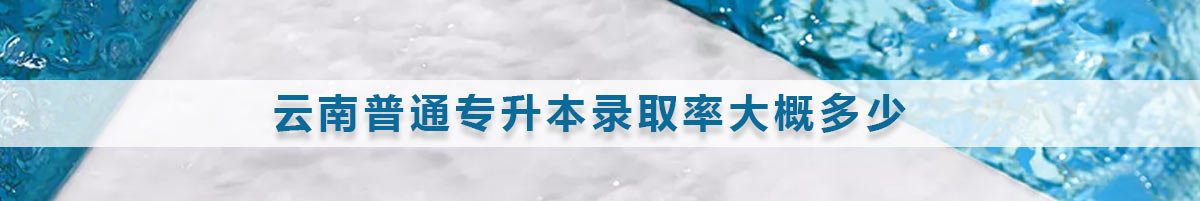 云南普通專升本錄取率大概多少