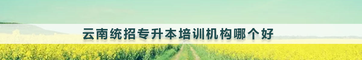 云南統(tǒng)招專升本培訓(xùn)機構(gòu)哪個好？
