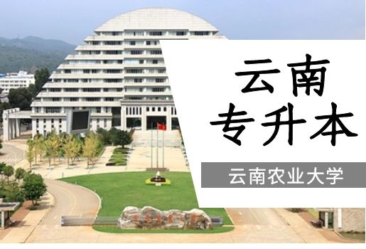 2022年云南農(nóng)業(yè)大學(xué)云南專升本招生情況分析