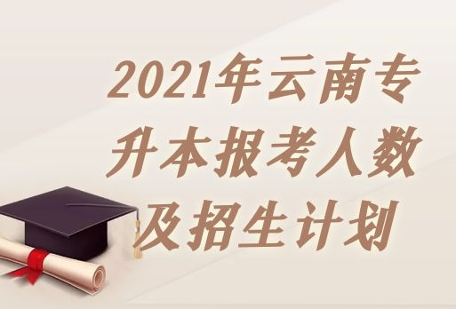 2021年云南專升本報考人數(shù)及招生計劃