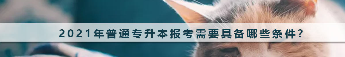 2021年普通專升本報考需要具備哪些條件？