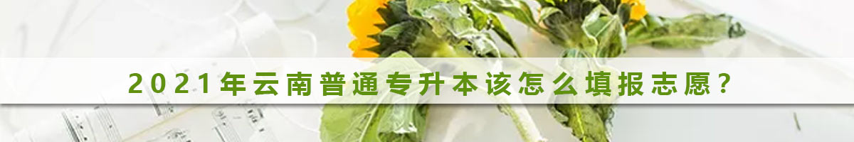 2021年云南普通專升本該怎么填報(bào)志愿？