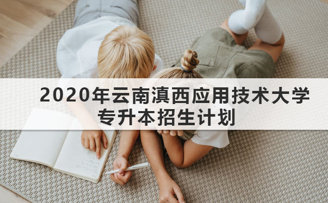 2020年云南滇西應(yīng)用技術(shù)大學(xué)專升本招生計(jì)劃