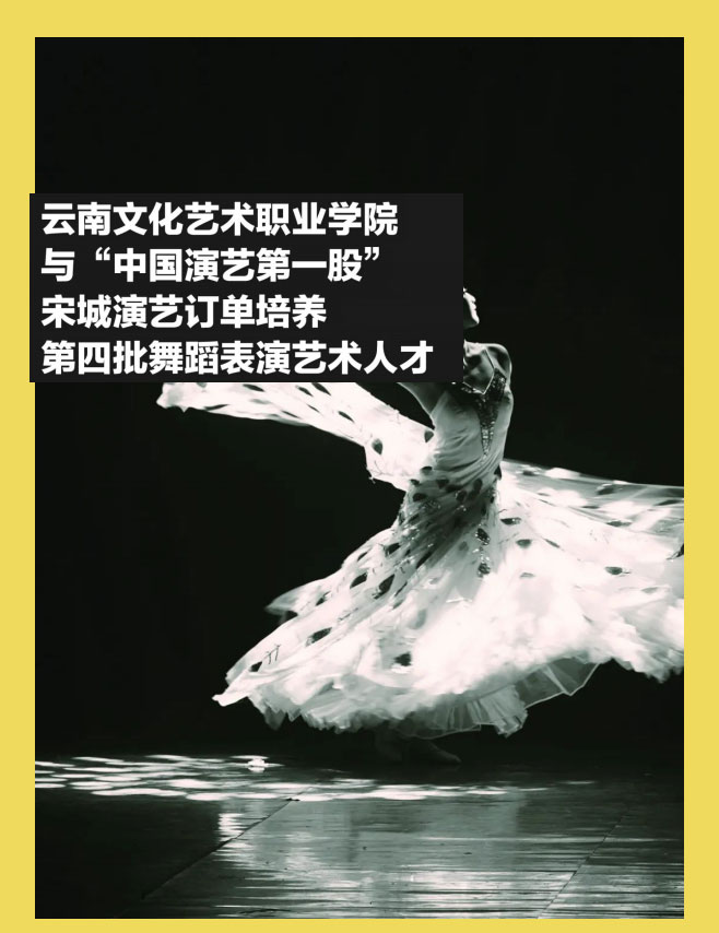 云南文化藝術(shù)職業(yè)學(xué)院2021年招生簡章