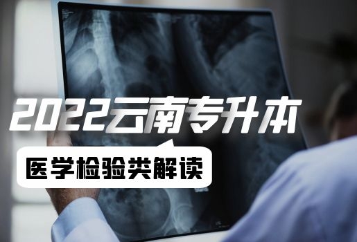 云南專升本