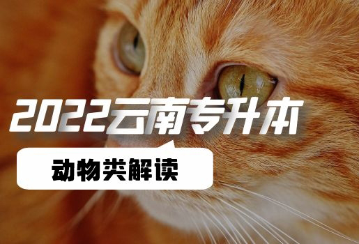 云南專升本